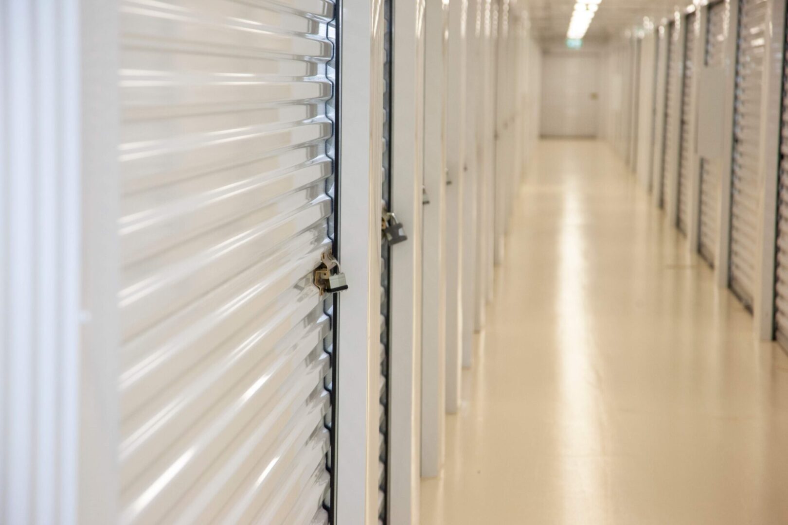 Row of locked storage unit doors.